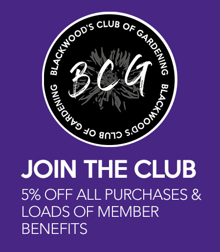 club