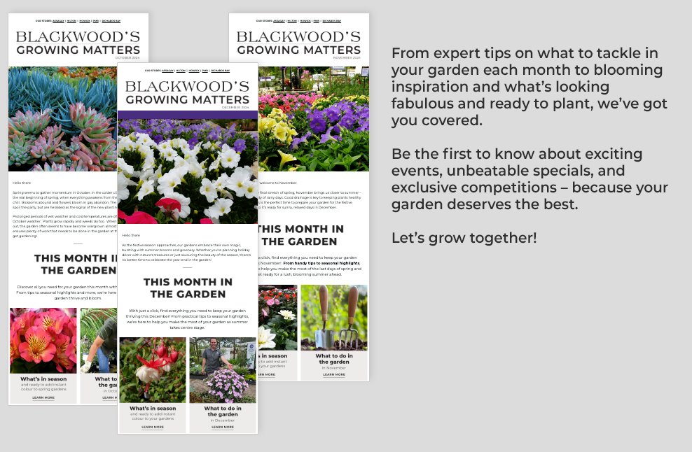 newsletters