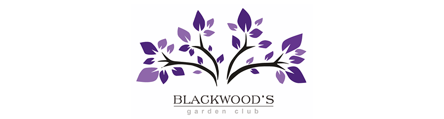 club_logo