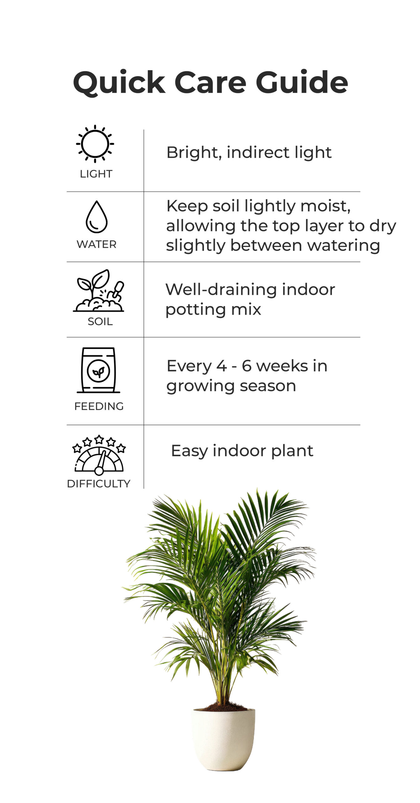 Areca_Palm_quick_care