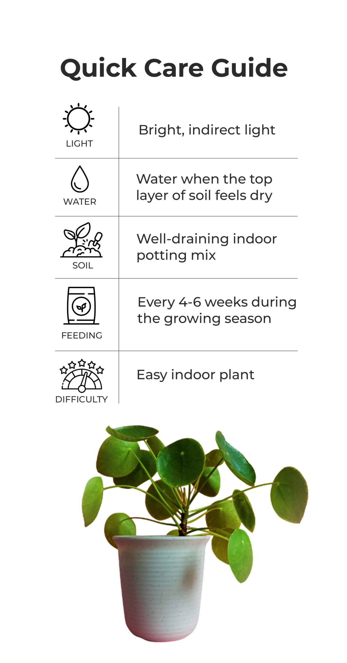 Pilea_peperomioides_quick_care