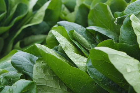 spinach